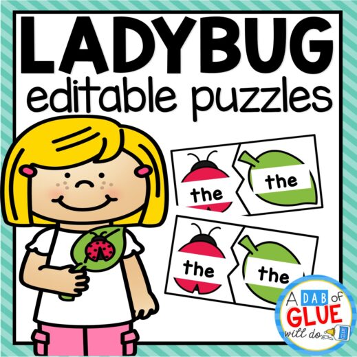 Ladybug Editable Sight Words Dollar Teachers Club