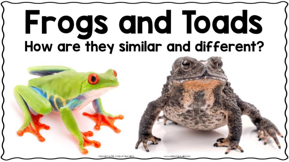 Copy of Frog and Toad Compare
